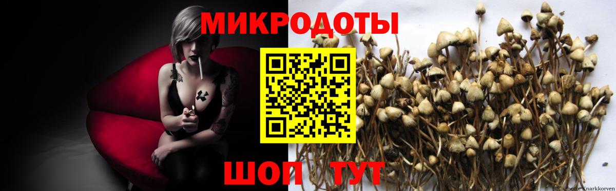 Псилоцибиновые грибы ЛСД  Вход с VPN  Красноярск 